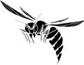 Black silhouette of flying European hornet Vespa crabro